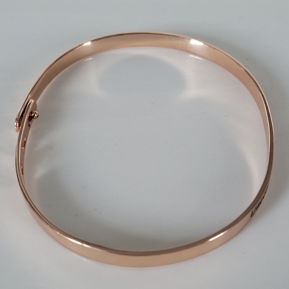 Chelsea Taylor Memory Bracelet Rose Goldplated Unconditional love...my dog - Picture 4 of 14